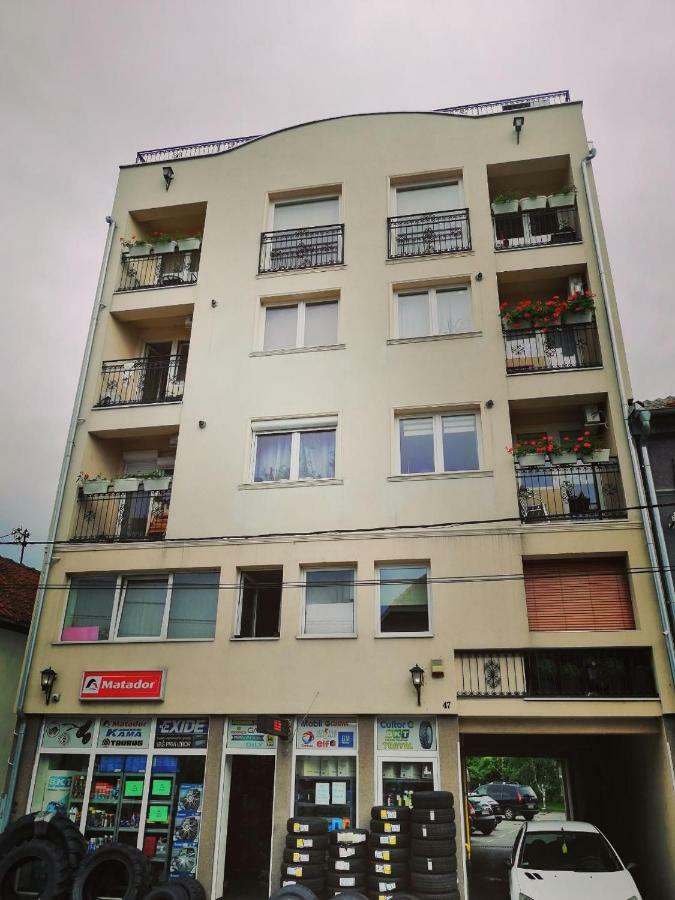 New And Nice Apartments 克拉古耶瓦茨 外观 照片
