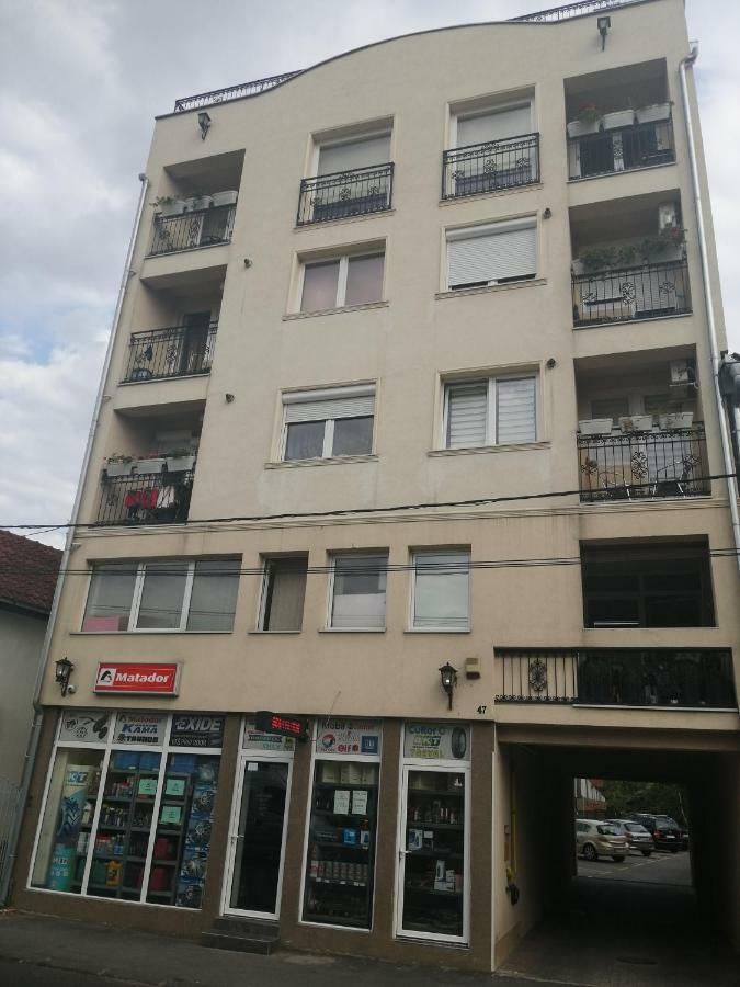 New And Nice Apartments 克拉古耶瓦茨 外观 照片